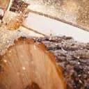 Bonfire in Timber (Prices)!