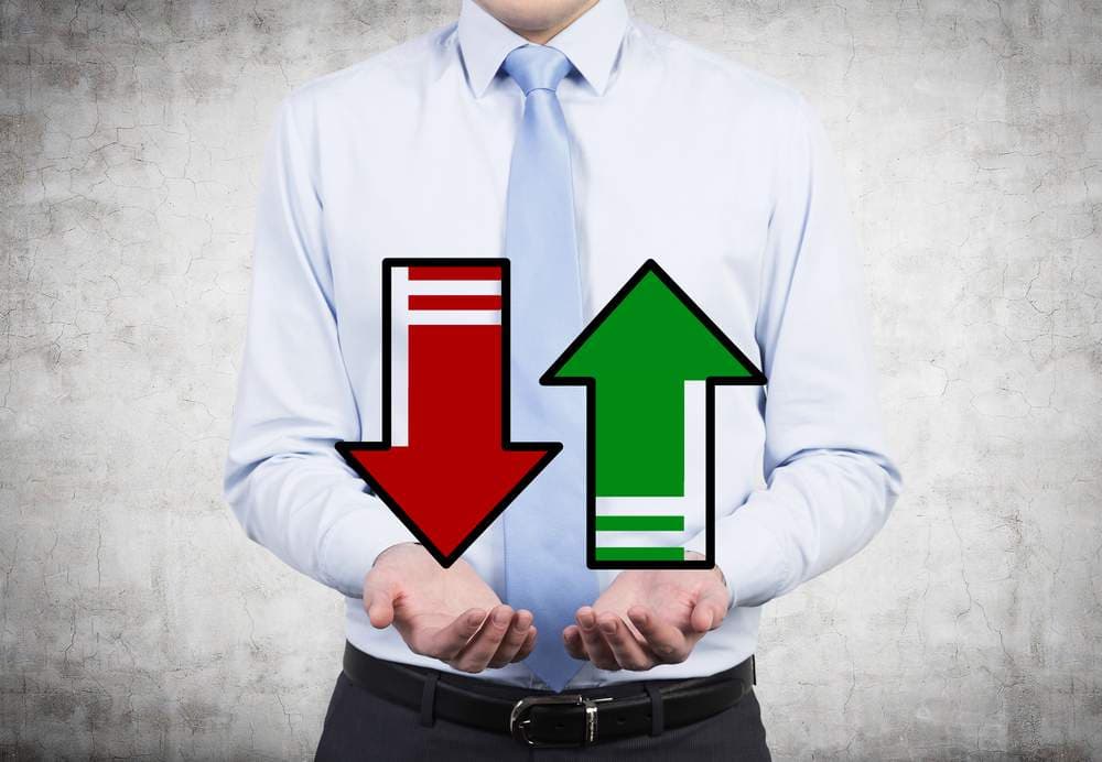 A Tale of Two Economies