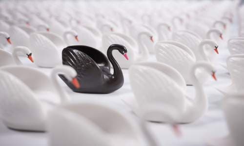 The Truth About Black Swan Events
