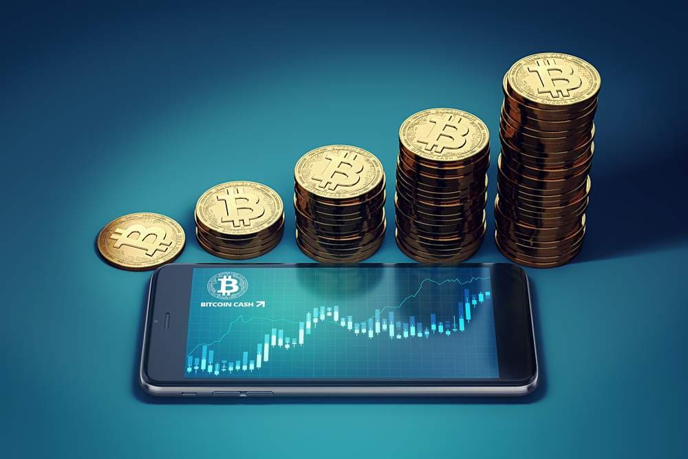 Whales Buy the Bitcoin Dip