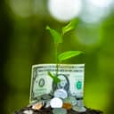 Fertilizer Sows Inflation