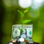 Fertilizer Sows Inflation